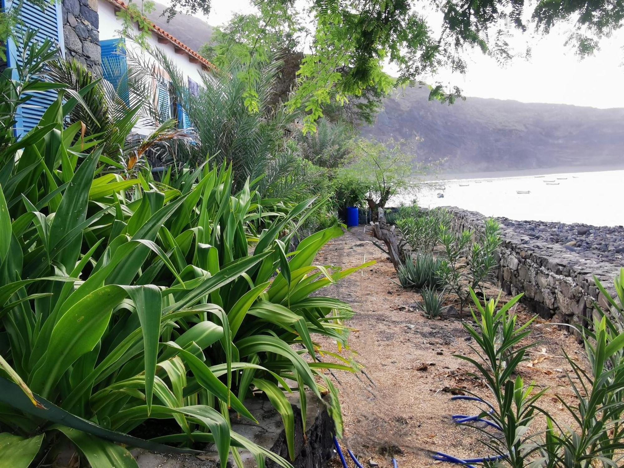 Casa Praia Tarrafal De Monte Trigo Seladinha Dış mekan fotoğraf